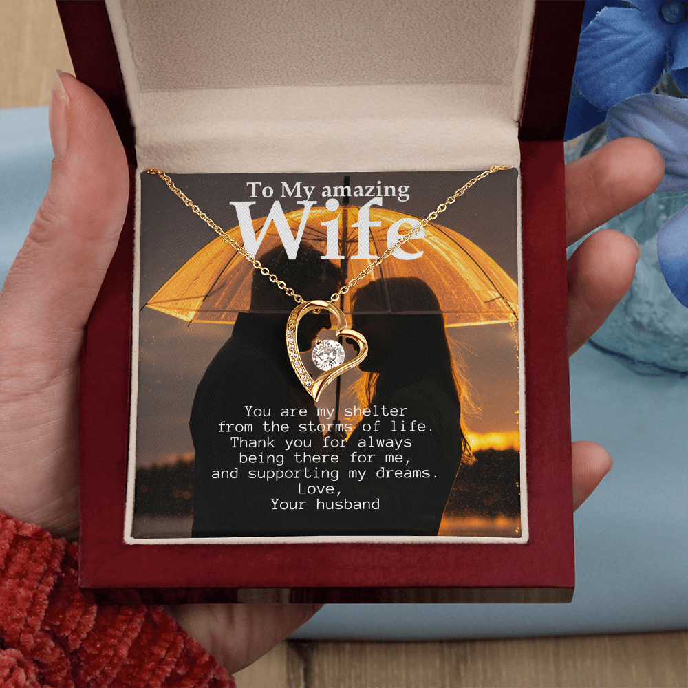 To My Amazing Wife - Shelter from the storms of life