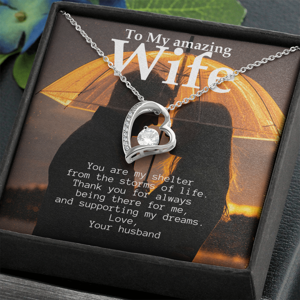 To My Amazing Wife - Shelter from the storms of life