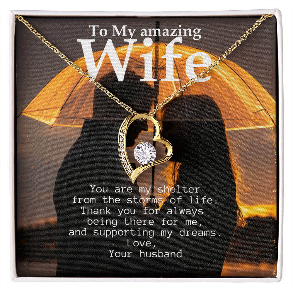 To My Amazing Wife - Shelter from the storms of life