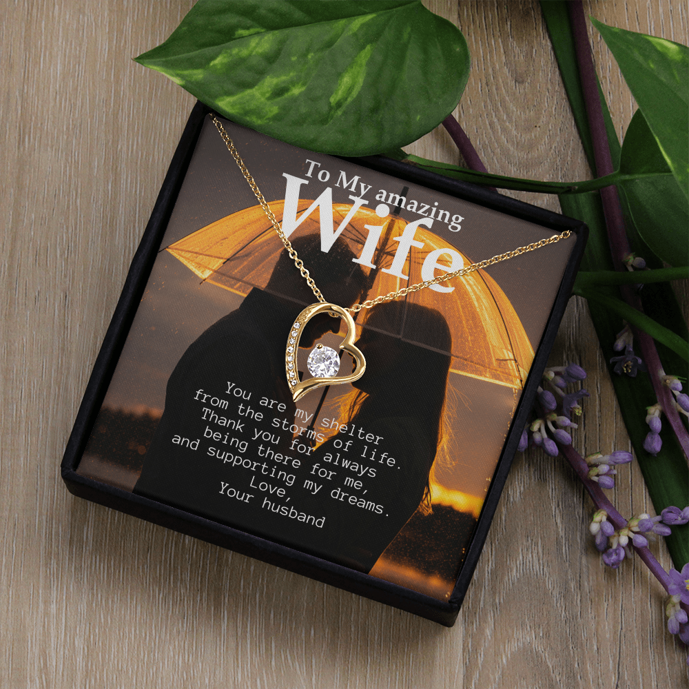 To My Amazing Wife - Shelter from the storms of life