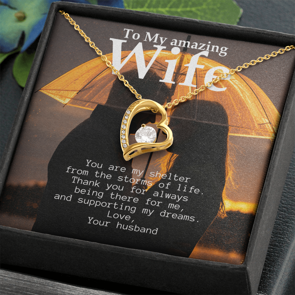 To My Amazing Wife - Shelter from the storms of life